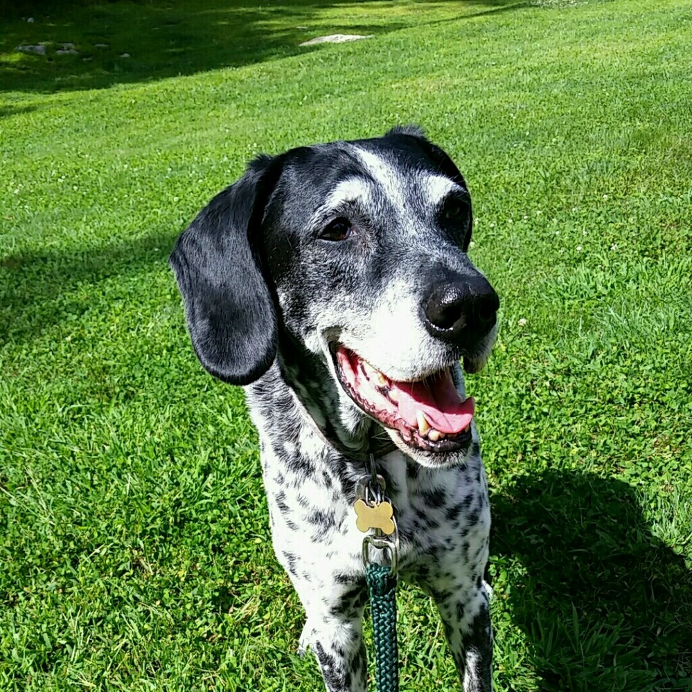 Meet your Posher, Allison